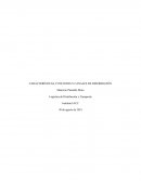 Logística de Distribución y Transporte