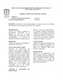 PRÁCTICA DE LABOTARIO DE QUÍMICA ORGÁNICA GENERAL