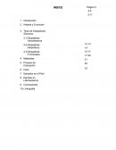 Disipadores Sismicos