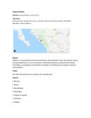 Grupo Bimbo, S.A.B. de C.V