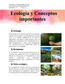 Ecología y conceptos importantes
