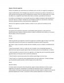 Ingreso del paciente al área de urgencias, consulta externa y valoración inicial