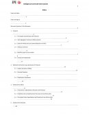 Inteligencia Comercial Internacional