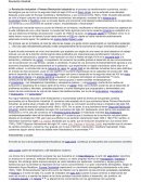 Revoluciones industriales