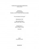 Plan de exhibición del producto. Helados Saludables