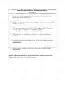 FUNCIÓN REFERENCIAL O REPRESENTATIVA