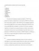 Acompañamiento terpaeutico del adulto mayor