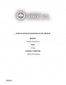 Proceso Civil En México y Las Partes En El Proceso Civil