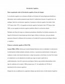 Revolución cognitiva