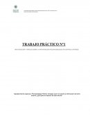 Centros externos de intervenciòn psicopedagogica