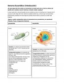 Genoma humano