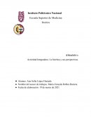 Actividad Integradora. La bioética y sus perspectivas