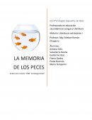 La memoria de los peces
