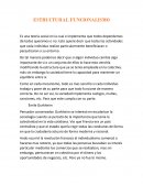 ESTRUCTURAL FUNCIONALISMO