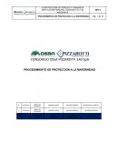 Programa de proteccion a la maternidad