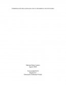 TERMINOLOGÍA RELACIONADA CON EL DESARROLLO SUSTENTABLE