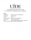 Revisar una empresa y determinar a través de su organigrama el área comercial, hacer un informe en pdf, puede utilizar una infografía