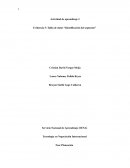 Evidencia 5: Tabla de datos “Identificación del segmento”