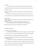 Operaciones y productividad