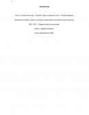 Organización, desarrollo y participación en TSC