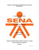 Comportamiento del mercado internacional