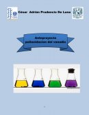 Anteproyeto Oxidacion del vanadio César Prudencio