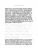 La realidad del Bronx