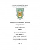 Metodologia de la IO