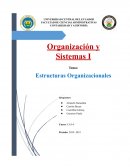 Estructura organizacional-Trabajo en grupo