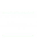 Notas estados financieros issste