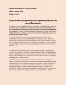 El sector salud y la importancia de las plantas medicinales de cara al Bicentenario
