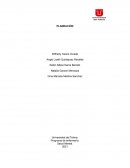 Programa de enfermería. Salud Mental