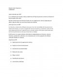 ¿Qué entiendes por ERP?