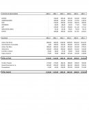 CASO Practico 1 Analisis Financiero