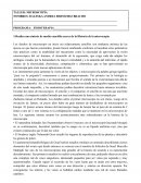 TALLER: MICROSCOPÍA