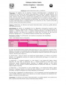 Reporte Fuerzas intermoleculares y solubilidad