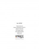 Costos y presupuestos. Caso “NATIVO”