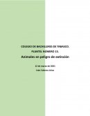 Animales en peligro de extinción