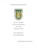 Accesibilidad Universal - Reflexión