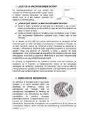 ESTRATEGIAS DE MACROSEGMENTACION