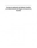 Formato Internacional de Investigación de Incendios y Explosiones