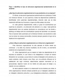 ¿Qué tipo de estructura organizacional es la que predomina en su empresa?