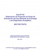 Elaboración de Proyectos de Guías de Orientación del Uso Eficiente de la Energía y de Diagnóstico Energético