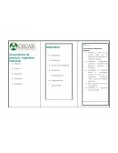 Lineamientos de prácticas –Ingeniería Industrial