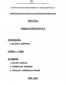 INFORME CAP 1-2 PRACTICA 2021