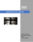 Desafiar los limites