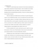 Impacto ambiental en la elaboración de una puerta, más concretamente de metal