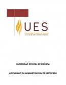 EXPOSICIÓN ORAL SOBRE CULTURA ORGANIZACIONAL.