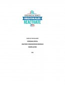 PROGRAMA ESPECIAL REACTÍVATE: ORGANIZACIONES REGIONALES