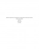 Aplicaciones ergonómicas en la identificación de riesgos laborales, relación persona máquina